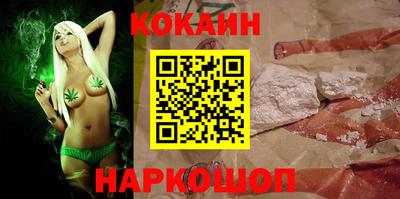 a pvp Камышлов