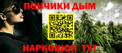a pvp Камышлов