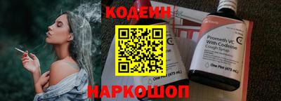 a pvp Камышлов