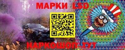 a pvp Камышлов