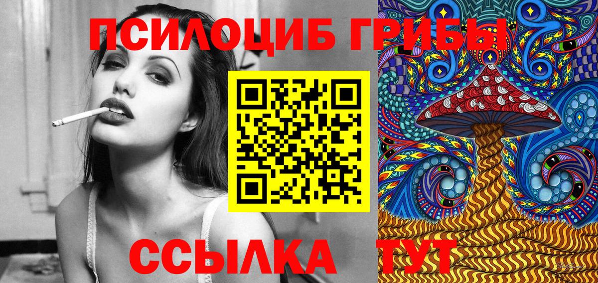 Псилоцибиновые грибы Psilocybine cubensis Кудымкар