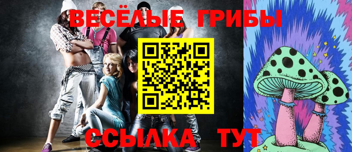 Псилоцибиновые грибы Psilocybe  Вход с VPN  Кудымкар  Псилоцибиновые грибы Magic Shrooms 